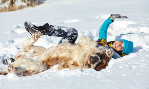 Woman and dog lying in the snow