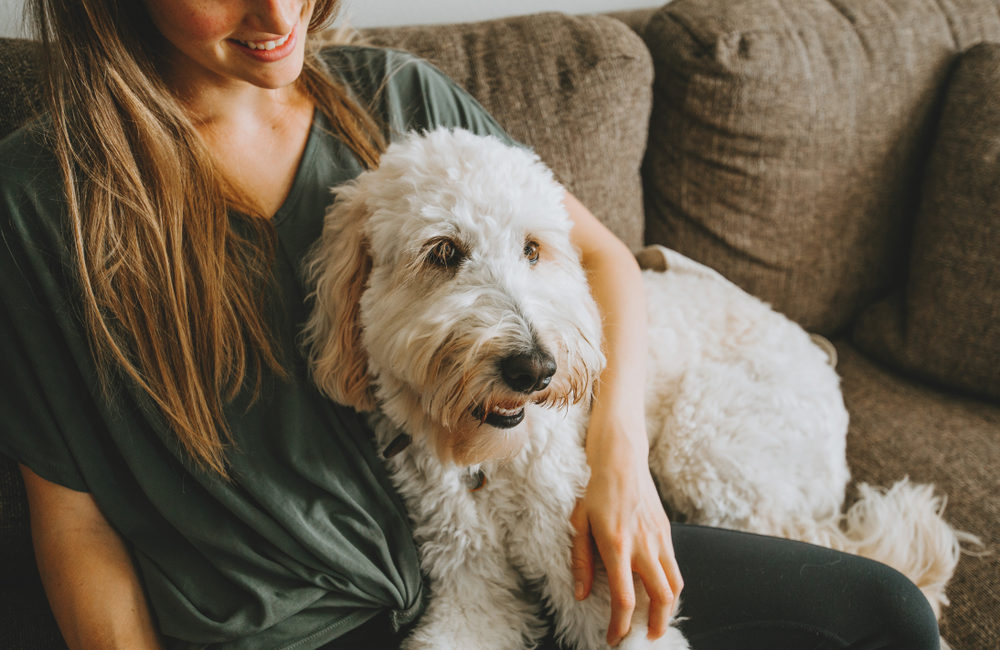 Woman sitting on a couch with her arm around a dog