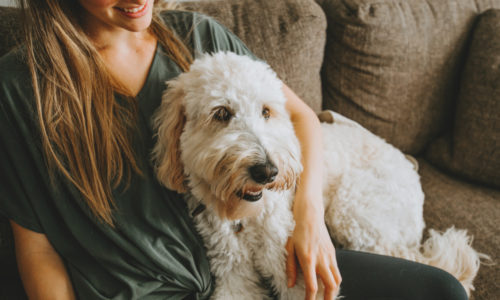 Woman sitting on a couch with her arm around a dog
