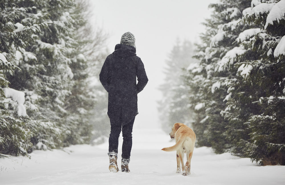 Back view of a person and dog walking on snowy path