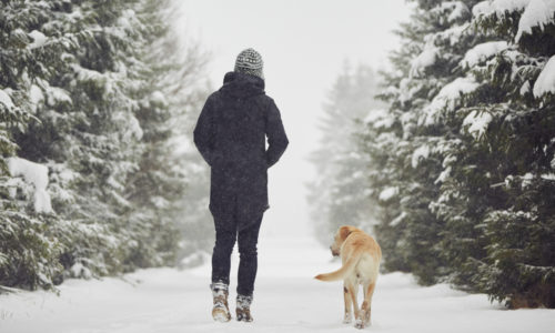 Back view of a person and dog walking on snowy path