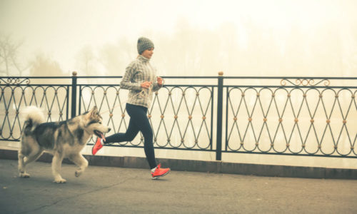 How To Keep Your Pet Active During Winter