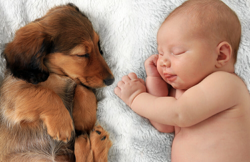 Puppy and baby sleeping on a white blanket