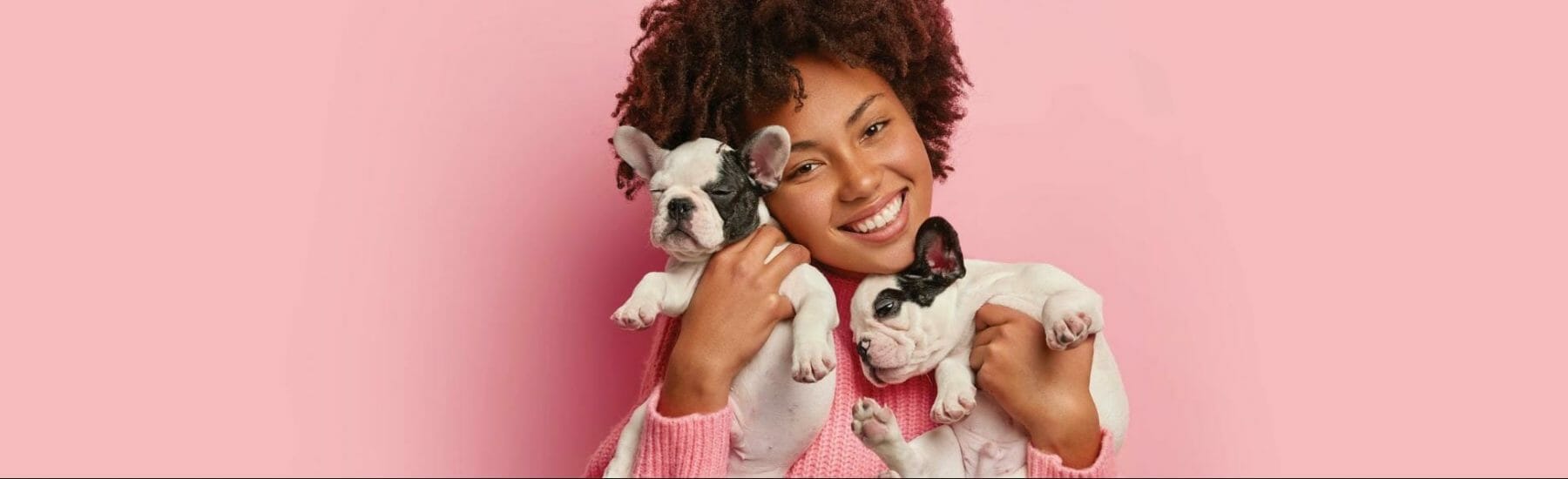 Woman holding two dogs against a pink background